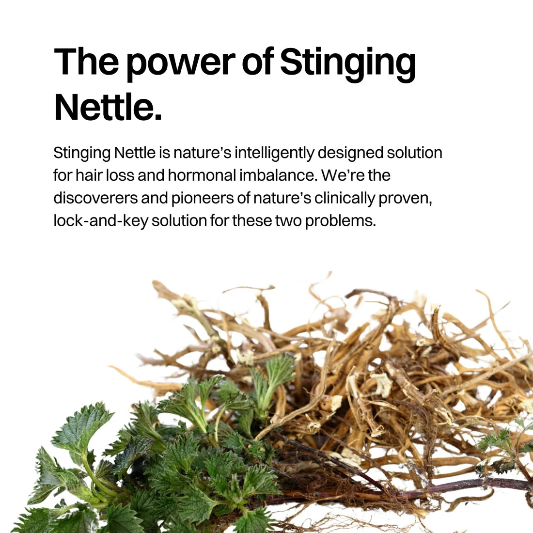 Hair & Hormones Bags Women additional image