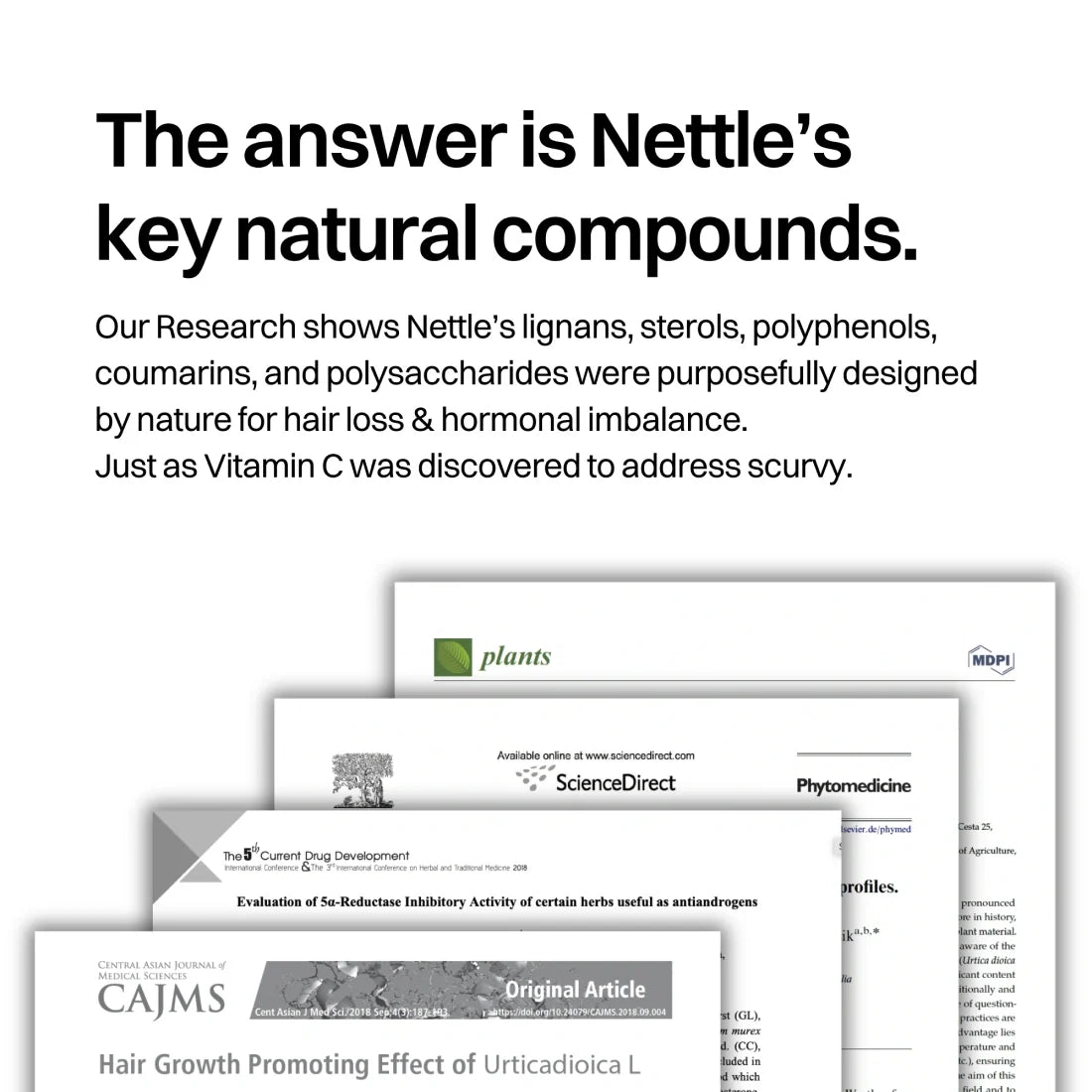 Hair & Hormones Bags Women additional image